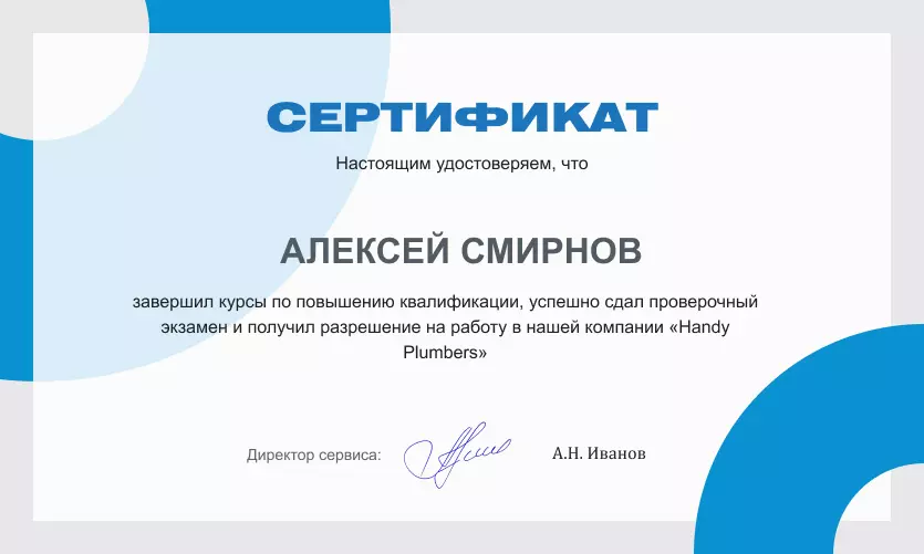 Сертификат мастера: Алексей Смирнов